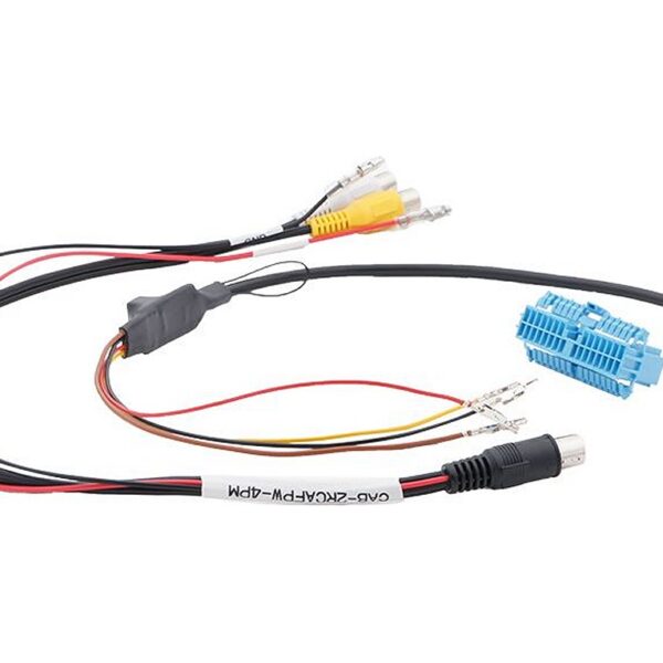 RFK-Adapter passend LKW Renault/Volvo Box A169 - CinchStrom