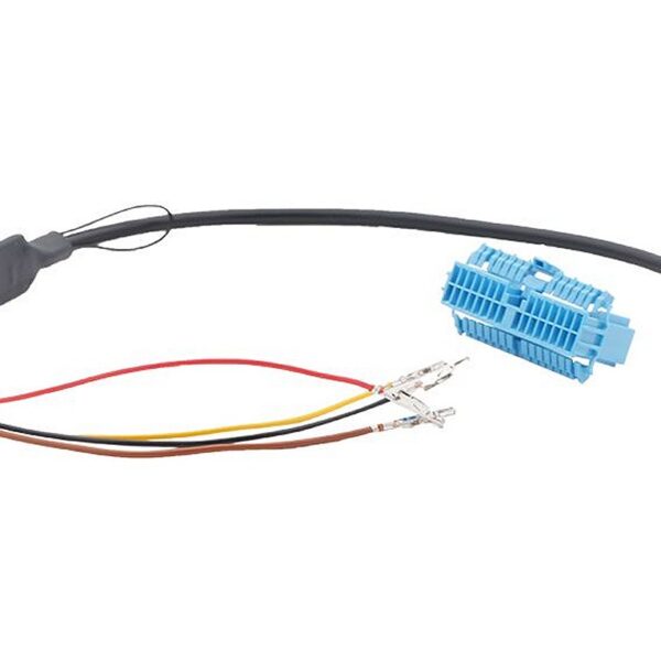 RFK-Adapter passend LKW Renault/Volvo mit Control-Box A169