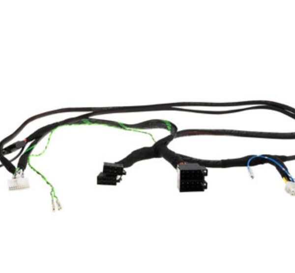 AXTON ATS-ISOETON SPECIFIC DSP P-P Kabel Eton Soundsystem