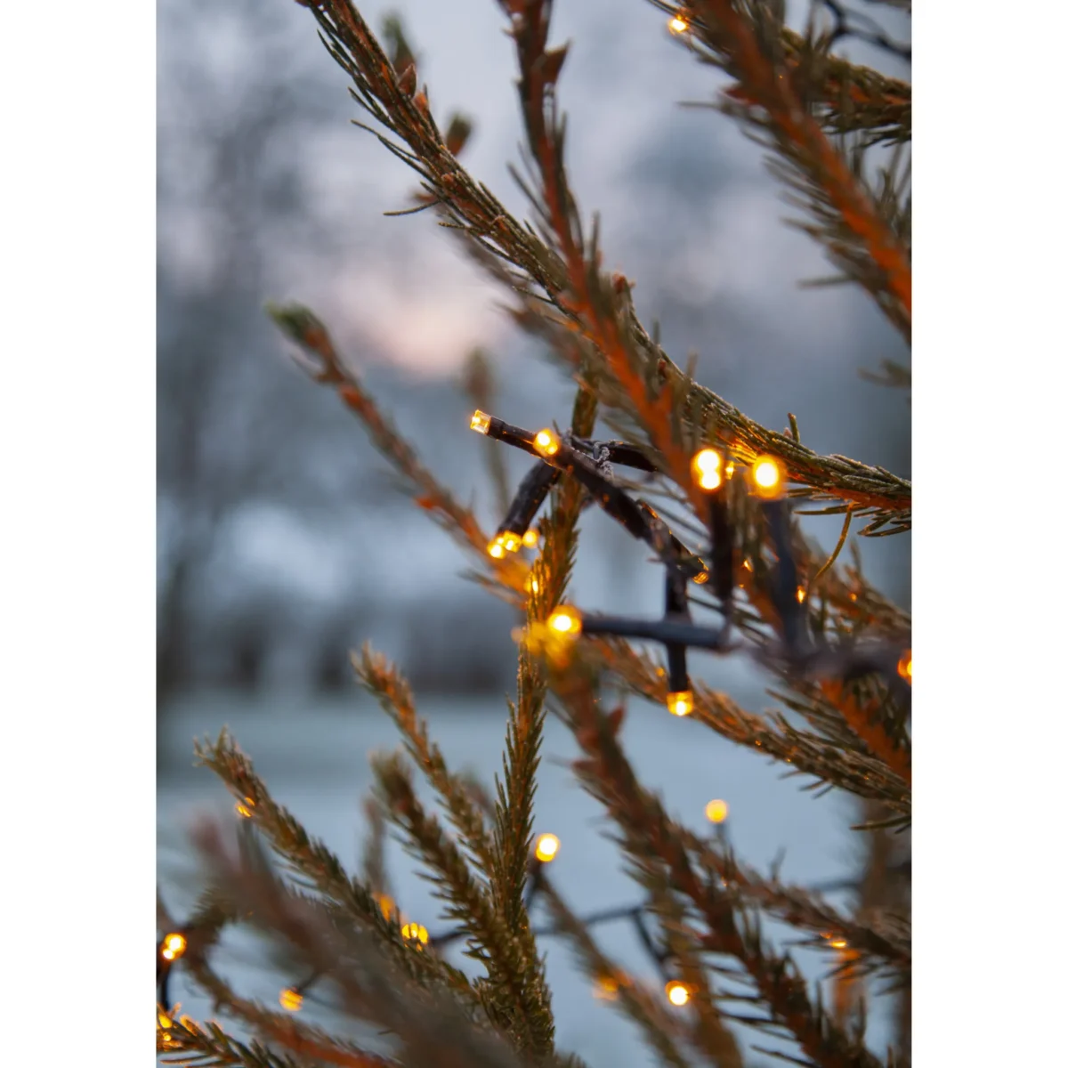 LED-Lichterkette "Serie LED", 8W, 1200 LED's, warmweiß, 24m, outdoor, mit Trafo – Bild 5