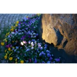 LED-Solar-Spotlight "Powerspot", schwarz, 9,5x21cm, Akku, outdoor, mit Erdspieß – Bild 2