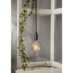 LED-Lampe "Decoled" G95, E37, 2200K, 150lm, 2W, warmweiß, dimmbar – Bild 3