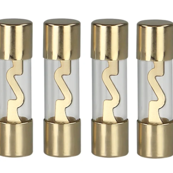 Sicherung AGU 10 Ampere gold 4 Stück