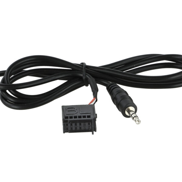 AUX In Adapter Ford 2004-